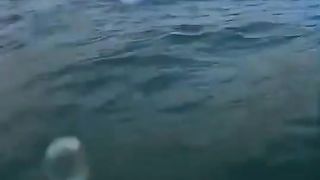 a fight between humans and the rulers of the sea