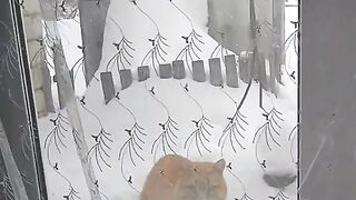 19 февраля 2024