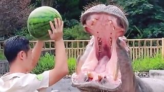 Amazing video