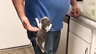 Amazing video