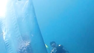 Divers meeting with the herring King