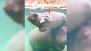 За Секунду До! Редкие Случаи, которые Повезло Снять на Камеру.