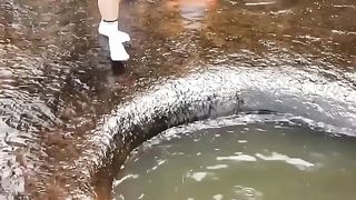 Fun with Surprise