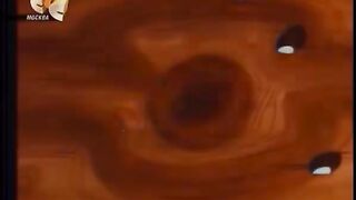 Дятел Вуди Вудпекер   38 серия  Полка Вуди Вудпекера