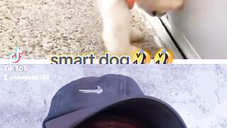 Comedy