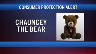ALERT_ DO NOT ENGAGE WITH CHAUNCEY THE BEAR.