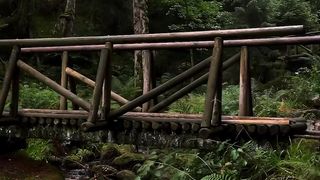 bamboo bridge in the wilderness