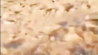 جدیدترین سیستم پدافند هوایی یمنی ها علیه ریز پهپاد های جاسوسی آمریکا و هم پیمانانش