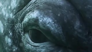 Sea monsters are true and they are real, but they are like babies