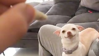 Amazing video