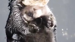 Look at this video, do you feel the same way between your two parents?