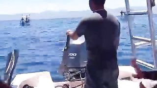 will this be a thrilling whale hunt, look at the video, the appearance of the sea monsters is amazing