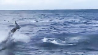 the arrival of humanity's savior, the underwater world, see my video
