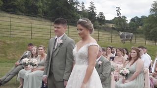 When the local cow decides to have their say at your wedding.