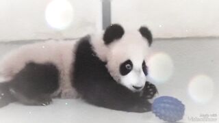 Катюша beby хит