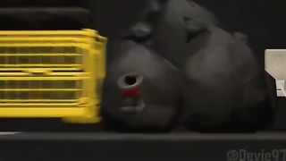splatooon 3