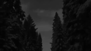 _dark._.videos_