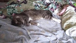 Кот и малыш дрыхнут.