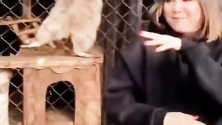 Video lucu