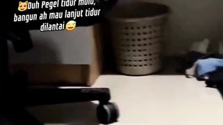 Nie Kocheng Belang Habis Bangun Lanjut Tidur Lagi