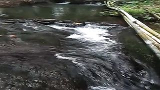 "Admiring the Beauty of Crystal Flow: The Journey of Water Flowing from the Source of Springs"