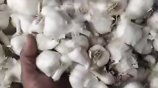 Today garlic mandi rate 27 February 2024