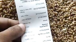 Today wheat mandi rate in India