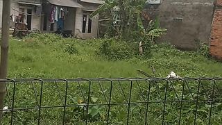 Panggilan jiwa