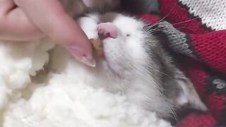 You can have a snack in your sleep