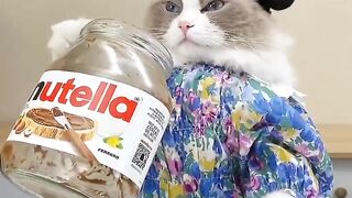 A food blogger who is interesting to watch