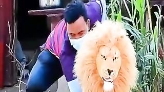 Dog prank