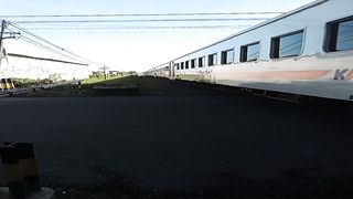 "Admiring the Beauty of Nature: A Peaceful Journey with Passing Trains"