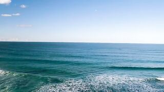 Nature videos