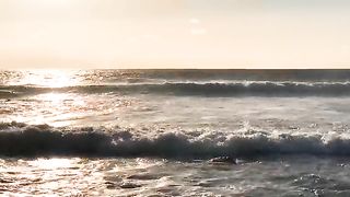Nature videos