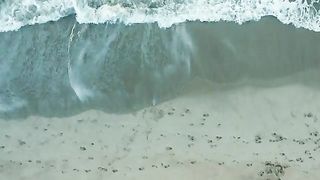 Nature videos