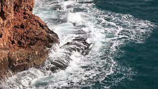Nature videos