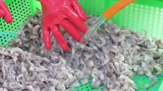 Taiwan Fish Cake Mass Production Factory