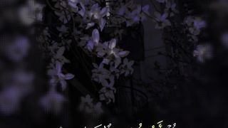قوالب|قرآن