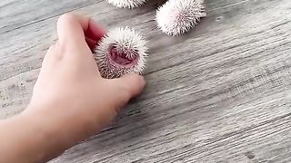 Haha yeah don’t touch