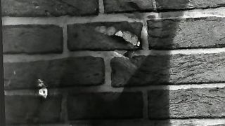 Intro