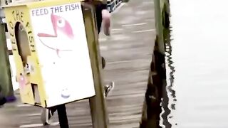 Funny failures #funnyvideos