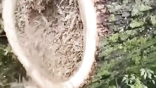 MIRA LO QUE ENCONTRARON