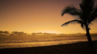 Sunset on a beach