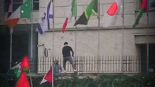 Save Palestine Save Gaza WhatsApp status