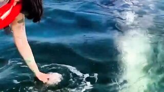 Look at the sea monster's affection for humans, but be careful if you touch it, you will probably be swallowed alive