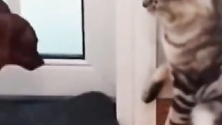 How to get amazing and you can see ????????????