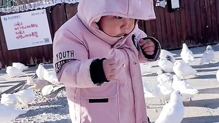 Baby scared from pigeon / awww moments