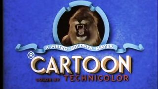 Casanova Cat Funny Tom and Jerry