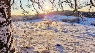 Beautiful view of nature
