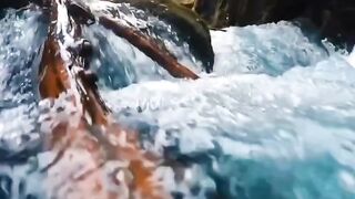 Beautiful view of nature